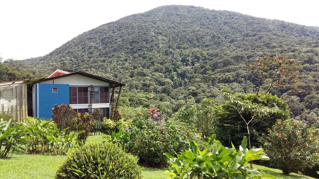 Celeste Mountain Lodge Bijagua Eksteriør billede