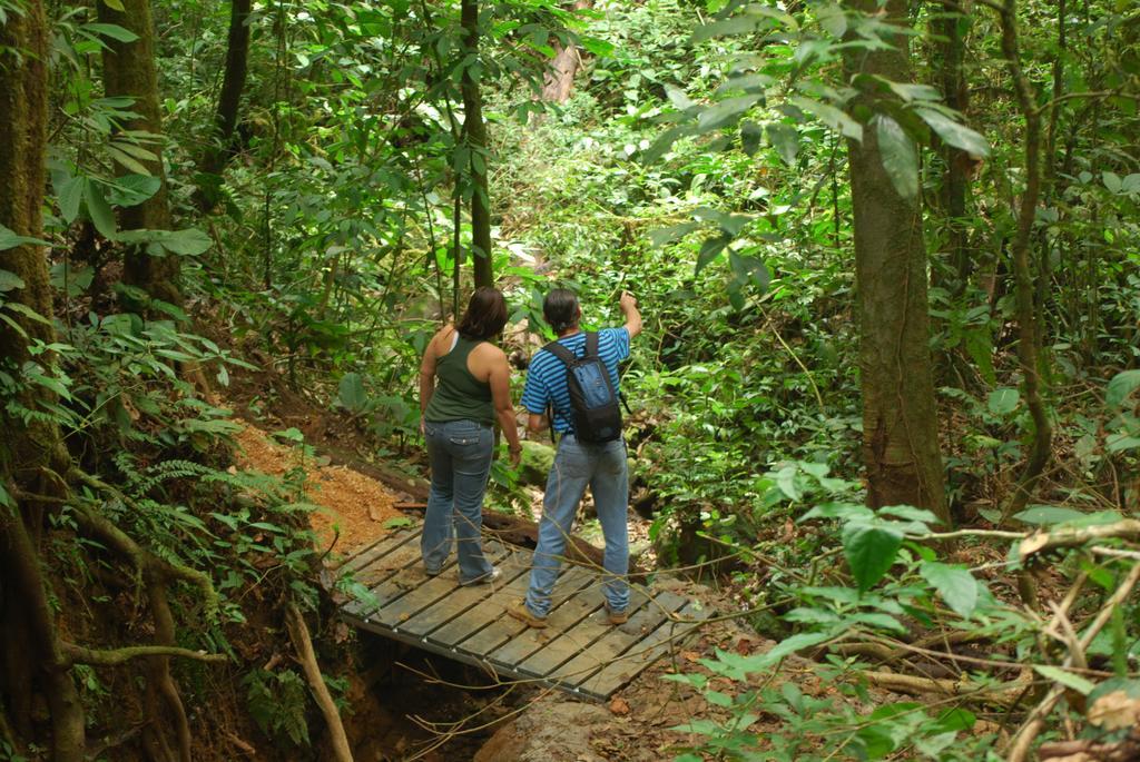 Celeste Mountain Lodge Bijagua Eksteriør billede