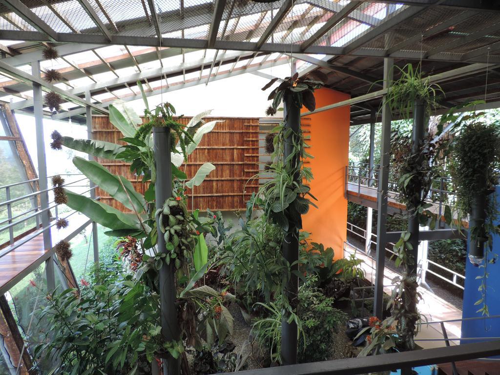 Celeste Mountain Lodge Bijagua Eksteriør billede