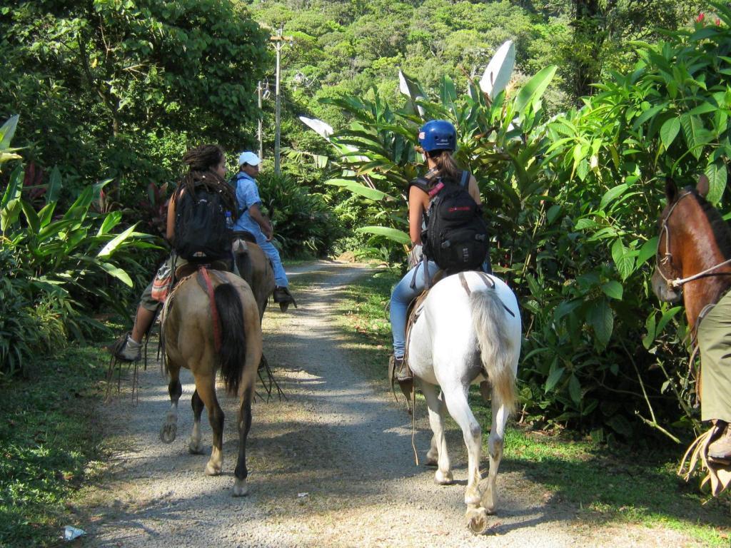 Celeste Mountain Lodge Bijagua Eksteriør billede